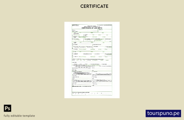 Plantilla de certificado de nacimiento vivo de Filipinas lista para imprimir